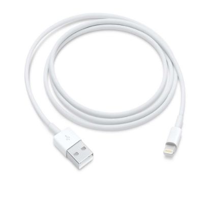 Picture of Lightning to USB Cable (1m)